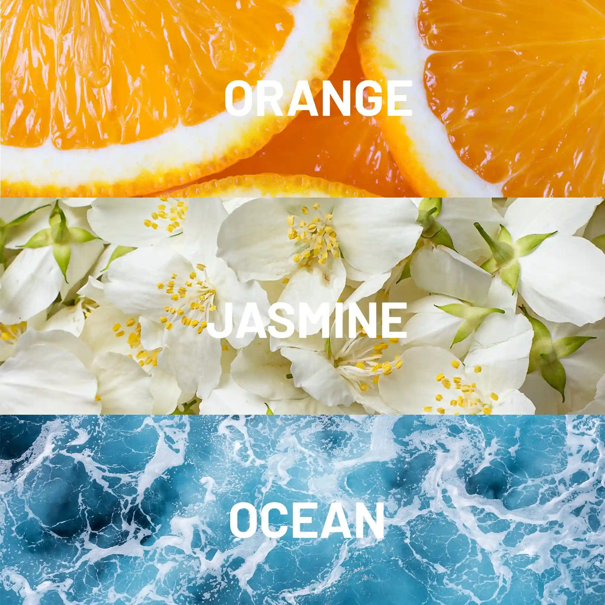 Paradise