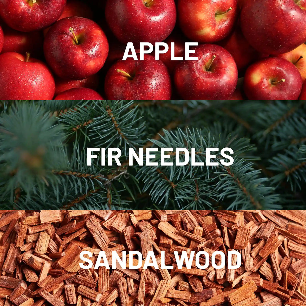 Fir Tree